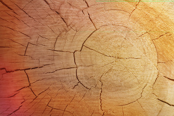 Fototapeta premium Old wooden panel background closeup, retro, vintage