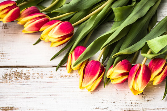 Tulips on wooden background useful as greetings card with copy-space