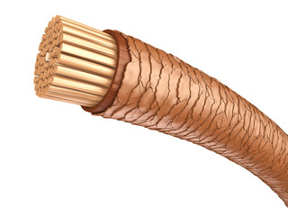 Haarstruktur: Querschnitt 3D-Illustration