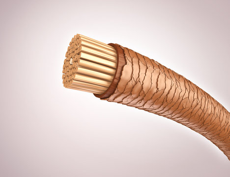 Trockenes, strapaziertes Haar: Querschnitt 3D-Illustration