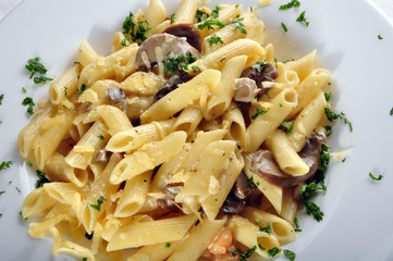 Penne pasta with shrimp , mushrooms ? fresh parsley and Parmesan
