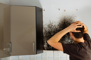 Man shocked to mold a kitchen cabinet.
