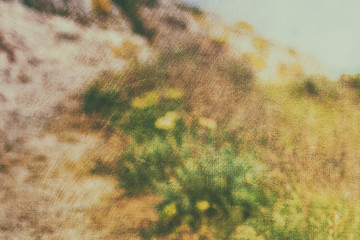 Obraz premium Defocused vintage nature background
