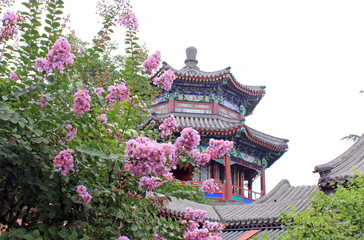 Flowers covered Pavilion of the Fragrance of Buddha in summer palace, Beijing,China