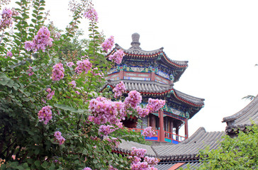 Naklejka premium Flowers covered Pavilion of the Fragrance of Buddha in summer palace, Beijing,China