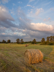 Siano na łące zebrane w bele © jakubczajkowski
