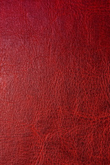 Fototapeta premium Red leather background