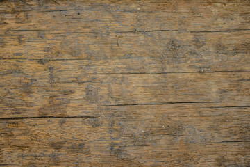 Fototapeta premium brown wooden texture