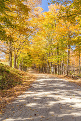 country road in fall, Vermont.