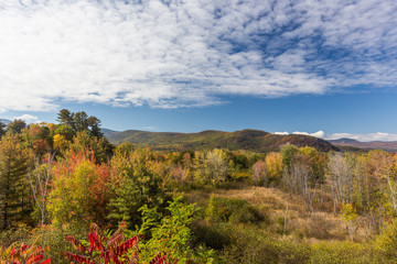 Fototapeta premium Colourful White mountain National forest jesienią, New Hampshir