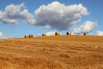 Fototapeta premium Hay bales