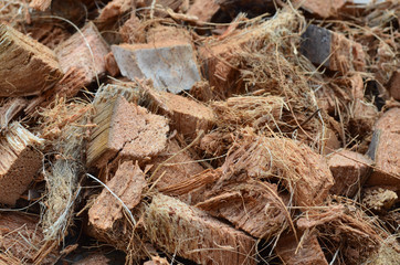 Chopped Brown Spathe