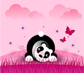 Fototapeta premium Romantic panda bear