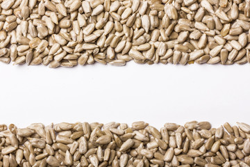 Sunflower seeds background.
