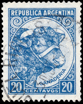 Stamp printed in Argentina shows Bull