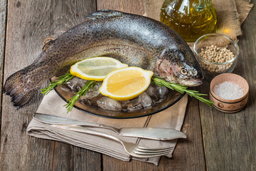 Fresh trout on plate with ice