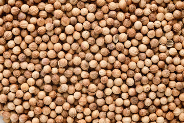 コリアンダーシード