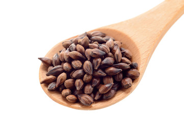 Obraz premium 大麦