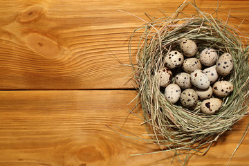 The composition of quail eggs lying in a nest of grass on a panel of vintage brown boards with free space for text advertising of food or restaurant menu design.