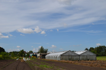 Fototapeta na wymiar Greenhouses and rows of ploughed soil in rural Flanders