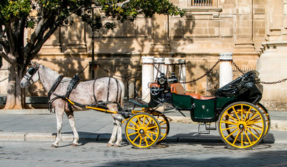 Coche caballos Sevilla