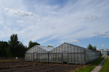 Fototapeta na wymiar Greenhouses and meadow separated by concrete cart track