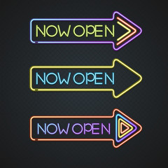 Glowing Neon Signs. Vector