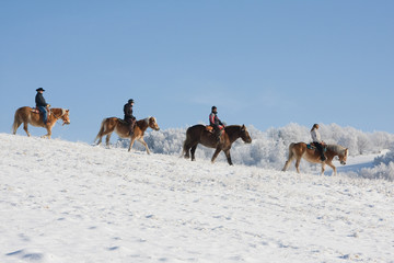 Four riders on horses walking through snowy landscape