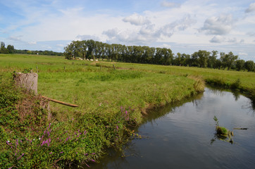 River flowing through meadow in rural Flanders