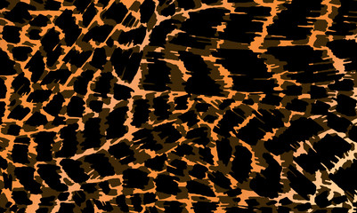 Colorful animal skin texture