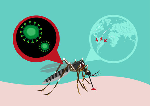 Zika Virus Outbreak and Travel Alert concept.  Transmitted by A. aegypti mosquito and it is linked to cause microcephaly on infected pregnant women. Editable Clip Art.

