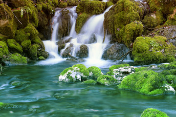 Mountain stream among the mossy stones