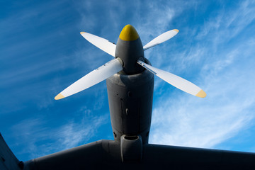 Naklejka na ściany i meble the plane propeller against the sky
