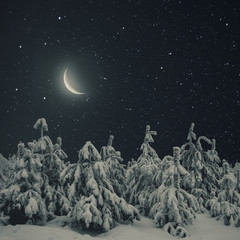 Obraz premium Beautiful winter nature landscape, trees covered snow