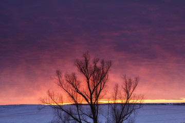 Fototapeta na wymiar Winter nature landscape. Silhouette of tree at sunset