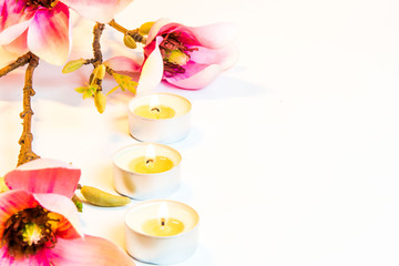 Spa flowers and candles on white background