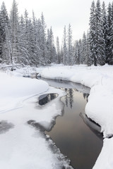 winter river flows in winter forest