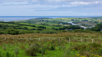 Fototapeta na wymiar Irish green landscape