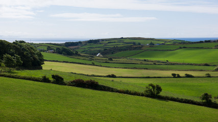 Fototapeta na wymiar Irish green landscape