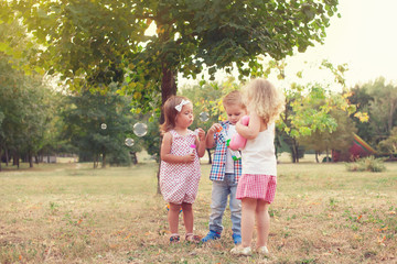 Toddlers playing with bubbles at the park