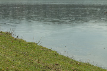 Frozen lake with meadow and text space