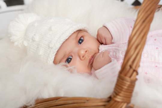 closeup newborn baby in basket