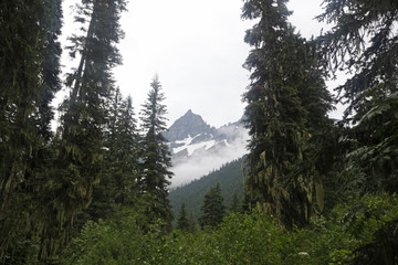 A scenic view in Glacier National Park in Montana.