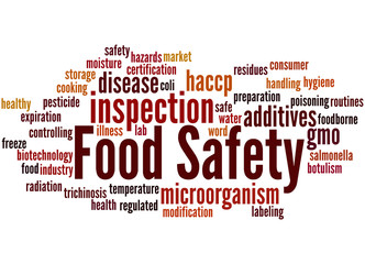 Food Safety, word cloud concept 2