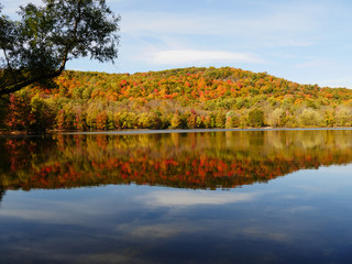 Obraz premium Scarlet Oak Pond-Ramapo Valley County Reservation in the Fall