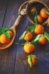 Fresh mandarin oranges fruit with leaves in old wooden spoon on table. Group of mandarin fruits and leaves in a basket