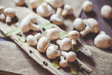 Fresh champignon mushrooms on a rustic wooden counter ready to be cleaned and washed for dinner