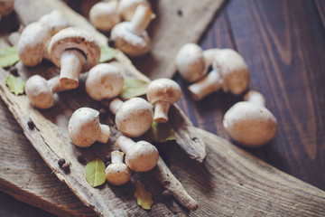 Fresh champignon mushrooms on a rustic wooden counter ready to be cleaned and washed for dinner