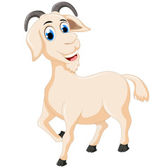 Fototapeta na wymiar funny goat cartoon run