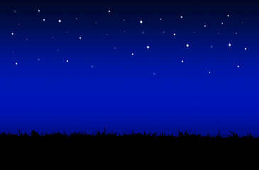 star night sky above the field
